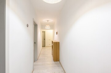 standard room interior apartment. room doors, renovation corridor lobby entrance hall