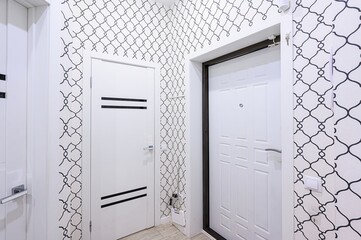 standard room interior apartment. room doors, renovation corridor lobby entrance hall