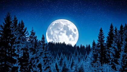 luna, noche, cielo, completo, moreno, claro de luna, azul, estrella, nube, espacio, naturaleza, alumbrado, acu&aacute;tico, &aacute;rbol, paisaje, planeta, lunar, negro, mar, astronom&iacute;a, halloween, brillante, silue