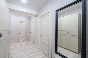 standard room interior apartment. room doors, renovation corridor lobby entrance hall