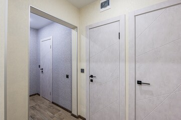 standard room interior apartment. room doors, renovation corridor lobby entrance hall