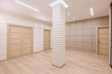 standard room interior apartment. room doors, renovation corridor lobby entrance hall