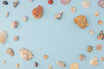 Marine shells placed around edge of light blue background for blank center layout..Versatile top-down photo for summer ads, greeting cards or editorial content...