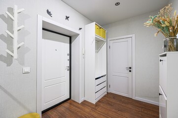 standard room interior apartment. room doors, renovation corridor lobby entrance hall
