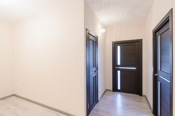 standard room interior apartment. room doors, renovation corridor lobby entrance hall