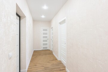 standard room interior apartment. room doors, renovation corridor lobby entrance hall