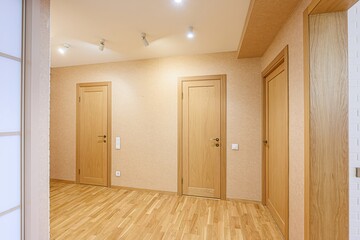 standard room interior apartment. room doors, renovation corridor lobby entrance hall