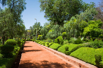 Pathway through lush greenery in Cyber Park Arsat Moulay Abdeslam in Marrakech, Morocco on a sunny day. The red earthen path between vibrant bushes and tall trees in the peaceful garden