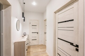 standard room interior apartment. room doors, renovation corridor lobby entrance hall
