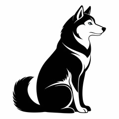 black and white dog