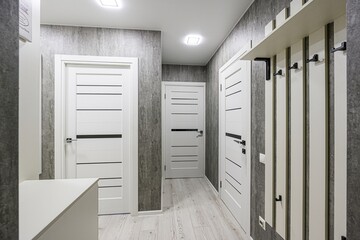 standard room interior apartment. room doors, renovation corridor lobby entrance hall