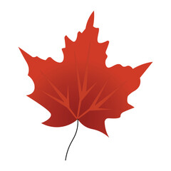 Maple Leaf (red)