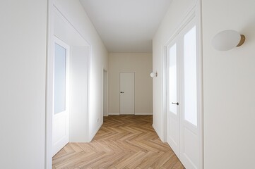 standard room interior apartment. room doors, renovation corridor lobby entrance hall