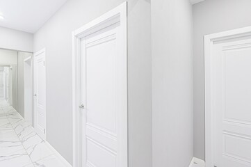 standard room interior apartment. room doors, renovation corridor lobby entrance hall