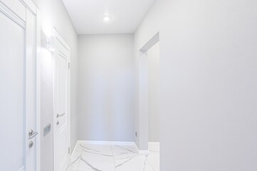 standard room interior apartment. room doors, renovation corridor lobby entrance hall