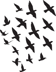 Birds silhouette Vector | Minimalist & Trendy Birds Silhouette Design | Unique & Stylish Birds Artwork for Vector design