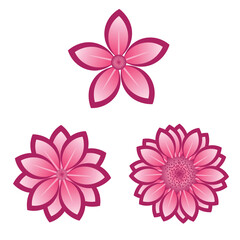 Pink Flower (top view