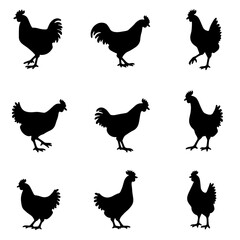 chicken silhouettes vector