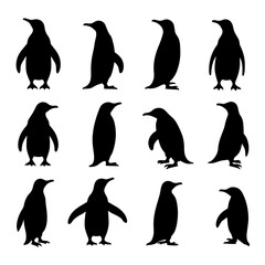 Obraz premium Penguin silhouettes vector, penguin silhouettes vector