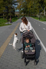 Caucasian woman walks in the park with her one-year-old son and Jack Russell Terrier dog. 