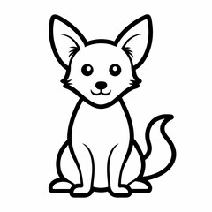 black and white cat