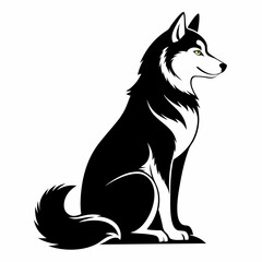 black and white wolf