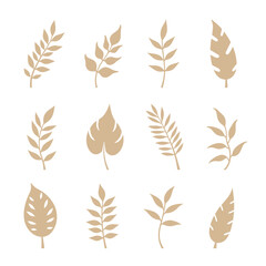Obraz premium vector set of wheat ears