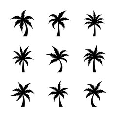 Set Pulm set silhouette vector on white background