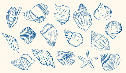 Whimsical hand-drawn seashells and starfish in a vintage sketch style.