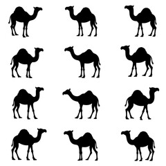 Camel Silhouette Vector, Camel Isolated On White Background Vector