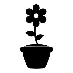 Elegant Black Flower in a Pot a Symbol of Simplicity and Growth