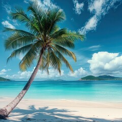 Tropical beach panorama with palm tree and turquoise sea.