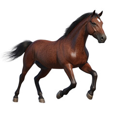 Naklejka premium Elegant Equine Portrait: Brown Horse with Graceful Posture on Black Background