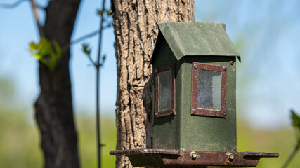 Metal bird feeder hanging from a tree in a green park