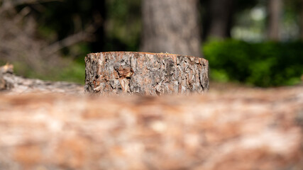 Fototapeta premium Cut tree logs and axe in forest clearing