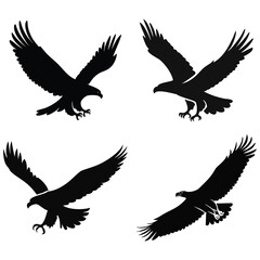 eagle vector illustration