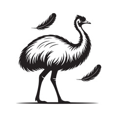 ostrich emu bird silhouette, black and white silhouette, vector and illustration