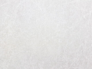 Close-up of a white background with a rough texture. Wallpaper with a texture similar to animal skin.