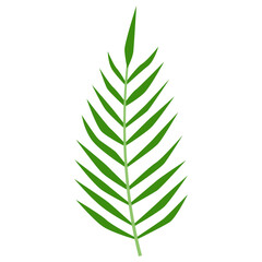 tropical leaf silhouette summer vibe