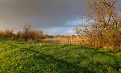 The swampy river valley, a sunny May day.