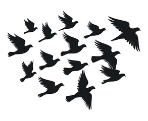 Fototapeta premium Silhouette of a Flock of Doves Forming a Heart Shape in Flight