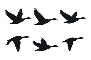 Five Black Silhouettes of Geese in Flight Different Positions