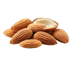 Almond harvesting event orchard food natural light isolated on transparent background