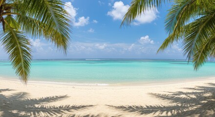 Tropical beach scene with palm trees white sand and turquoise water.