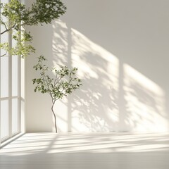 Minimalist, bright room with plants and sunlight