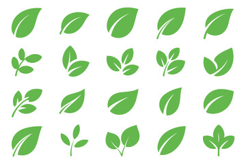 Collection of Twenty Green Leaf Icons Isolated on White Background