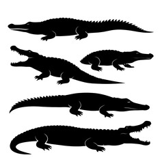 Fototapeta premium Crocodile Silhouette Vector Set – Swimming, Crawling, Open Mouth Poses – Wild Animal Illustration on White Background