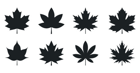 Eight Different Black Silhouettes of Maple Leaves Isolated on White Background