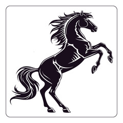 A Rearing Black Horse Majestic Silhouette
