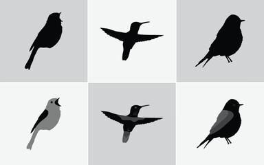 Six Minimalist Black Bird Silhouette Illustrations: Vector Icons for Web and Print Design, Black Bird Silhouettes Vector Set: Includes Finch, Sparrow, and Bunting Style Icons